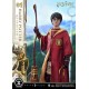 Estatua de Harry Potter Quidditch de 31 cm