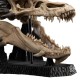 Estatua de polystone del cráneo de Smaug