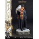Estatua de Harry Potter con Hedwig escala 1/6
