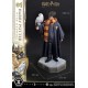 Estatua de Harry Potter con Hedwig escala 1/6