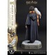 Estatua de Harry Potter con Hedwig escala 1/6
