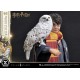 Estatua de Harry Potter con Hedwig escala 1/6