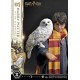 Estatua de Harry Potter con Hedwig escala 1/6