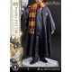 Estatua de Harry Potter con Hedwig escala 1/6