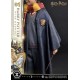 Estatua de Harry Potter con Hedwig escala 1/6