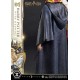Estatua de Harry Potter con Hedwig escala 1/6