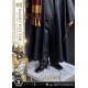 Estatua de Harry Potter con Hedwig escala 1/6