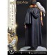 Estatua de Harry Potter con Hedwig escala 1/6