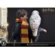 Estatua de Harry Potter con Hedwig escala 1/6