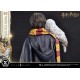 Estatua de Harry Potter con Hedwig escala 1/6