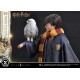Estatua de Harry Potter con Hedwig escala 1/6