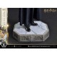 Estatua de Harry Potter con Hedwig escala 1/6