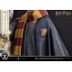 Estatua de Harry Potter con Hedwig escala 1/6