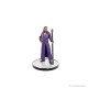 Miniatura prepintada de personaje de Baldur's Gate 3