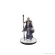 Miniatura prepintada de personaje de Baldur's Gate 3