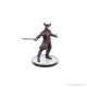 Miniatura prepintada de personaje de Baldur's Gate 3