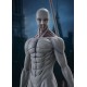 Estatua War Hammer Titan 25 cm de Attack on Titan