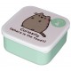 Conjunto de 4 marmitas do gato Pusheen