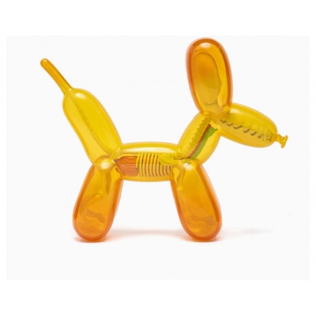 Estatua de perro globo Funny Anatomy Honey Edition