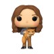 Figurine en vinyle POP d'Hermione avec Pattenrond de Harry Potter