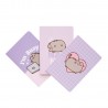 Pack de 3 Carnets A6 Pusheen Moments Licence Officielle