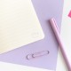 Pack de carnets Pusheen A6 avec designs variés