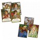 Caja y componentes del juego de cartas La Comunidad del Anillo