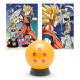 Puzzle Dragon Ball Z boule à 5 étoiles avec design double face