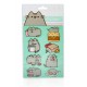 Set imanes Pusheen Cat