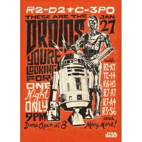 Poster metal Star Wars Droids 10 x 14 cm Ed. Limited