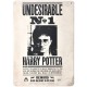 Placa Metal Undesirable Nº1 Harry Potter