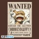 Camiseta marrom ONE PIECE com cartaz Wanted de Luffy