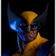 Statue Wolverine 1/6 en costume jaune et bleu