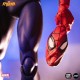 Figura do Homem-Aranha de 30 cm com acessórios