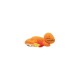 Peluche Charmander Pokémon dormant 12 cm