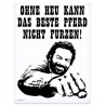 Placa de Metal Oficial Bud Spencer 30x40 cm