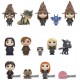 Figure surprise Funko Harry Potter Exclusive