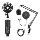 Kit microphone Phoenix StreamCast Pro avec bras articulé et filtre anti-pop