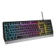 Teclado gaming Genesis Rhod 300 RGB retroiluminado