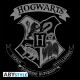 Borsa a tracolla verticale di Hogwarts di Harry Potter