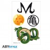 Tattoos Dragon Ball 15x10cm Licence Officielle - Pack de 5