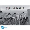 Poster Maxi Friends 91.5x61 cm - Licence Officielle
