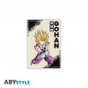 Aimants Standard Dragon Ball Z Gohan x4
