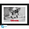 Gremlins - Affiche encadrée "Gizmo" 30x40 cm