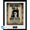 Harry Potter - Affiche encadrée "Undesirable No 1" 30x40 cm
