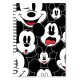 Book Disney Mickey Mouse Classic