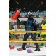 Figurines Tortues Ninja Archie Comics Stump Wrestling 18 cm