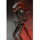 Figura articulada Alien Xenomorph XX121 18 cm con accesorios