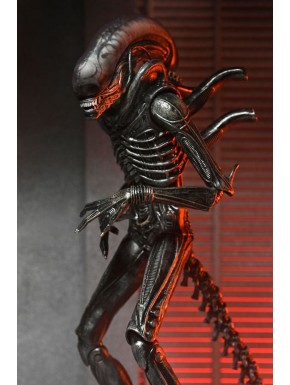 Figura articulada Alien Xenomorph XX121 18 cm con accesorios