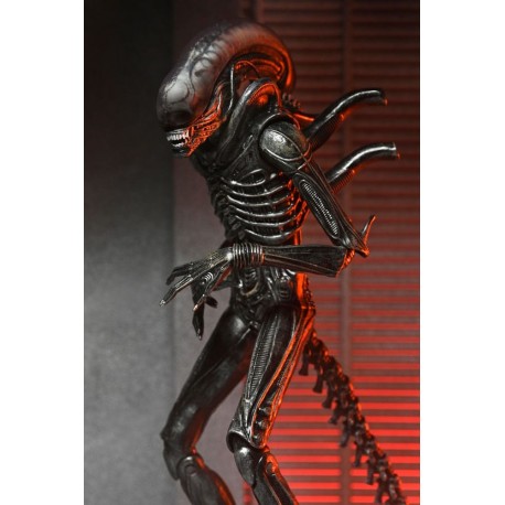 Figura articulada Alien Xenomorph XX121 18 cm con accesorios